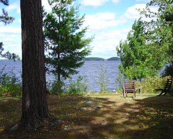 Birch cabin view of lake.