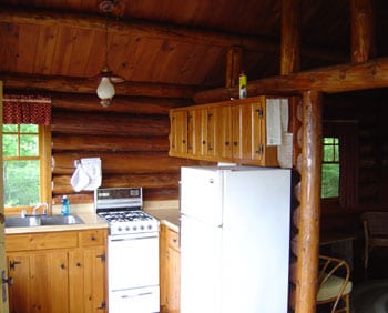 Last New cabin kitchen.