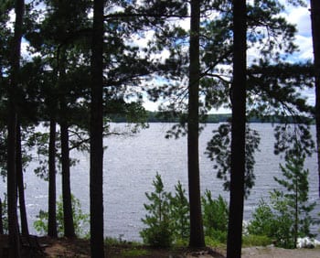 Munn cabin view of lake.