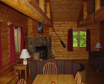 Phoenix cabin living room.